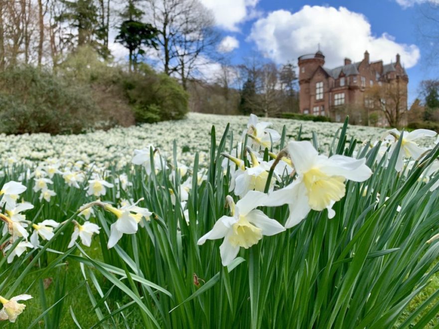 Spring at Threave