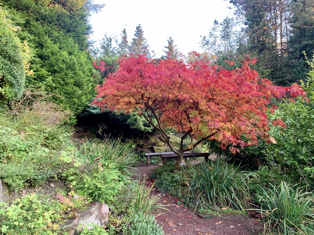 autumn